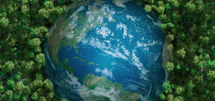 Ang Coloray ay aktibong nakikilahok sa Global Environmental Protection Cause.